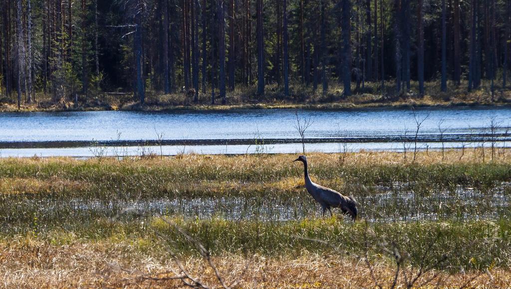 Rajan Loma Cottages Joensuu Bagian luar foto