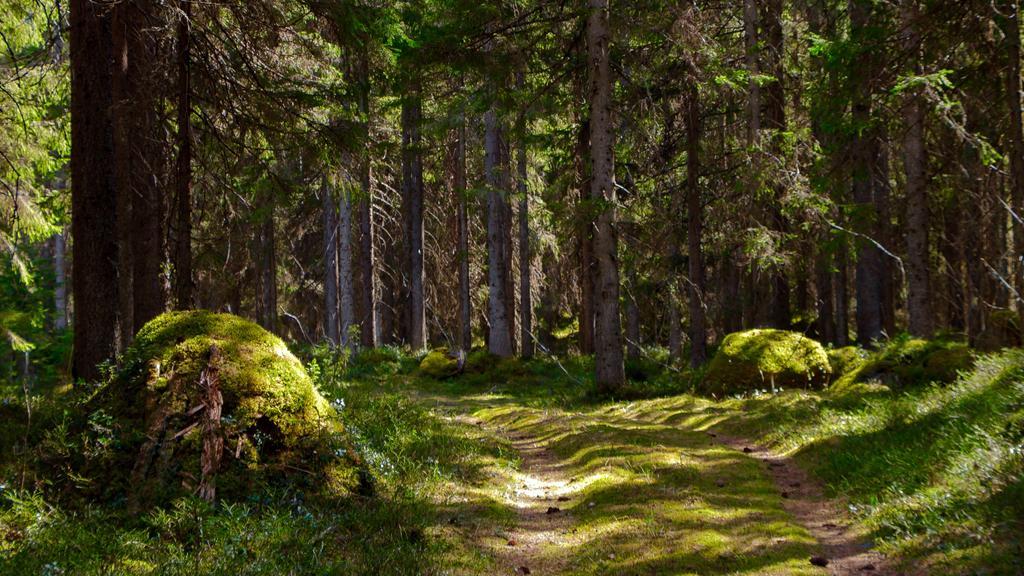 Rajan Loma Cottages Joensuu Bagian luar foto