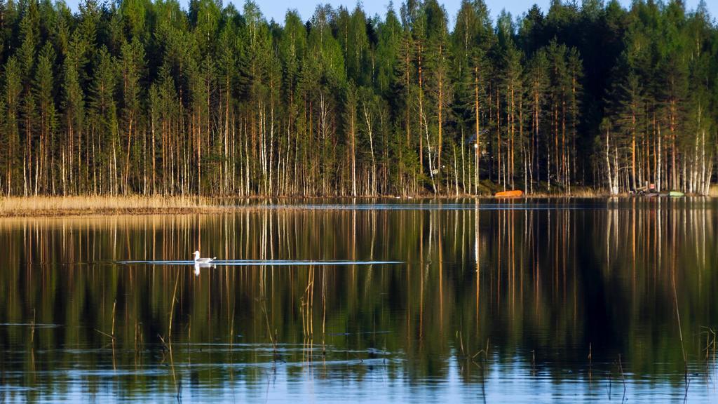 Rajan Loma Cottages Joensuu Bagian luar foto