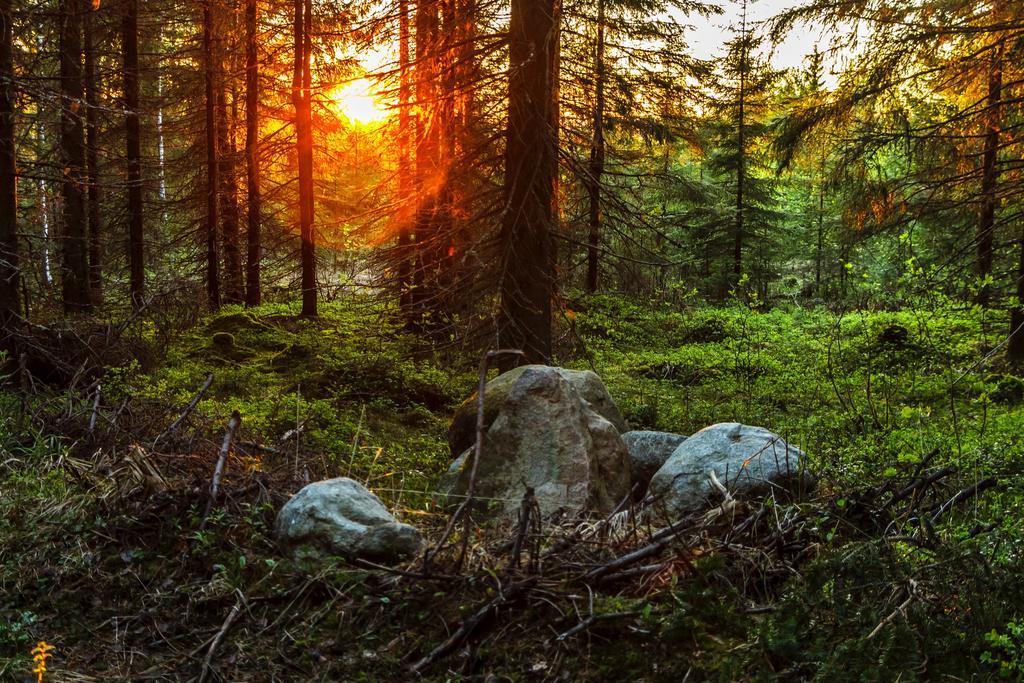 Rajan Loma Cottages Joensuu Bagian luar foto
