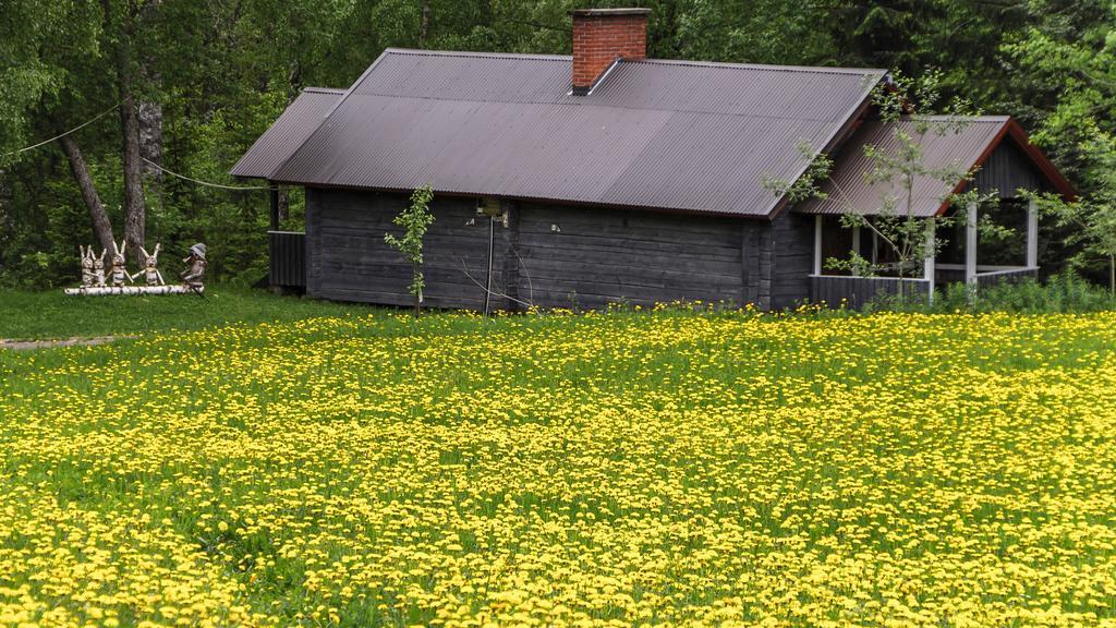 Rajan Loma Cottages Joensuu Bagian luar foto